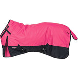 Turnout Blanket (32-2010)