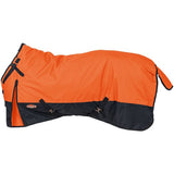 Turnout Blanket (32-2010)