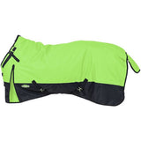 Turnout Blanket (32-2010)