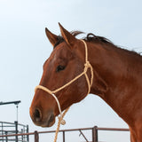 HALTER/LEAD NOSEBAND