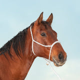 HALTER/LEAD NOSEBAND