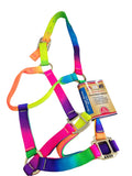 Nylon web halter