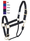 Nylon Yearling/Small Horse Halter