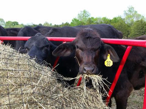 4" Cattle Hay Net